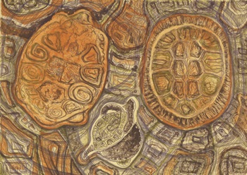 Sam Lazkani
'Turtle'
Lithograph
315mm x 445mm Sam Lazkani
'Turtle'
Lithograph
315mm x 445mm